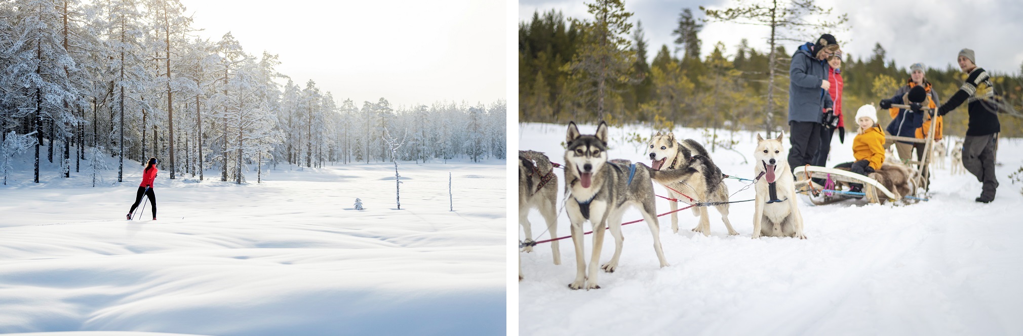 Fotocollage på forskellige vinteraktiviteter.