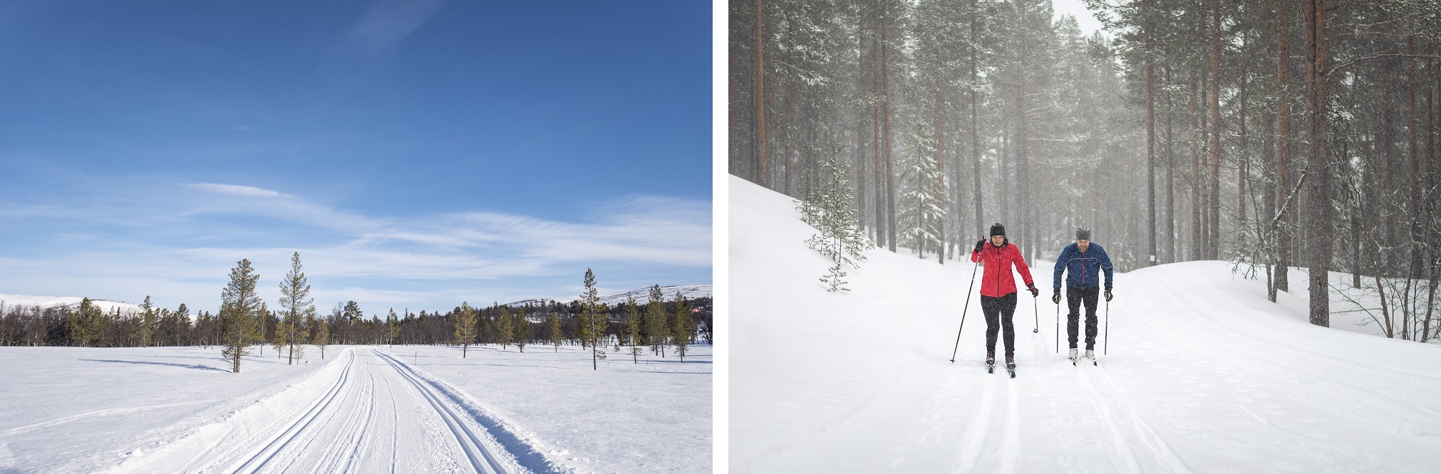 Bildcollage Klassische Langlaufloipen in Dalarna.
