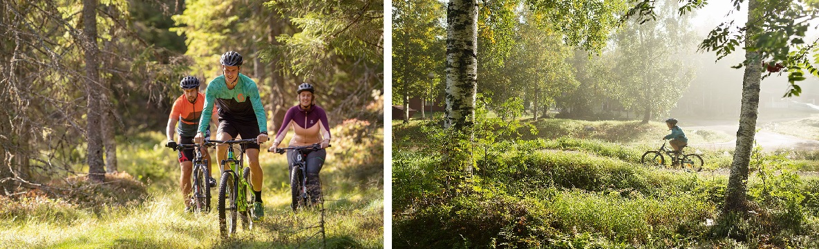 Fotokollasje av familier som sykler i naturen.