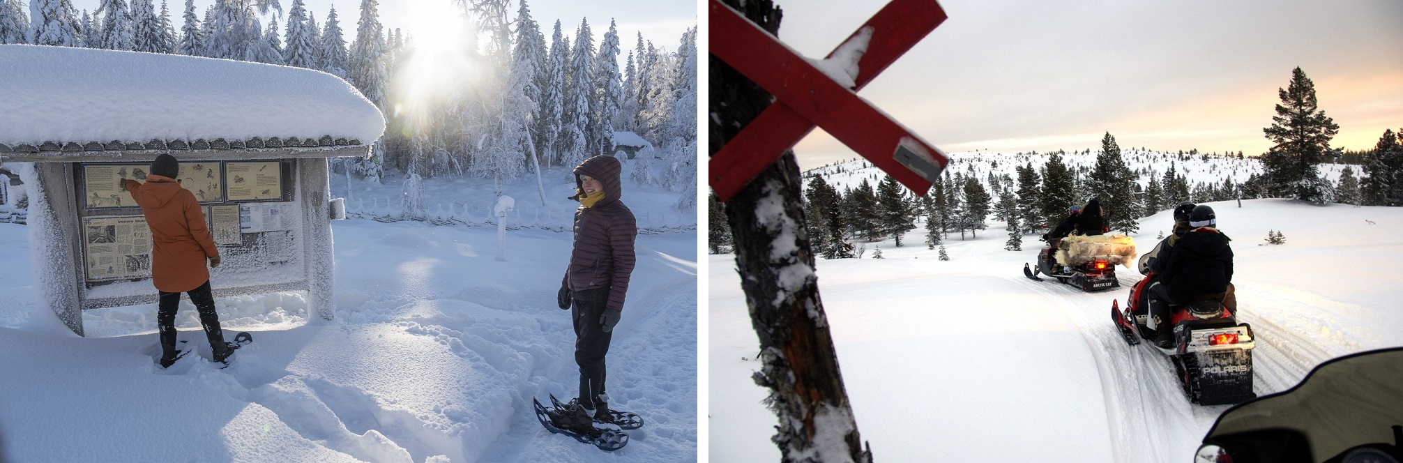 Fotocollage op sneeuwscootertochten.