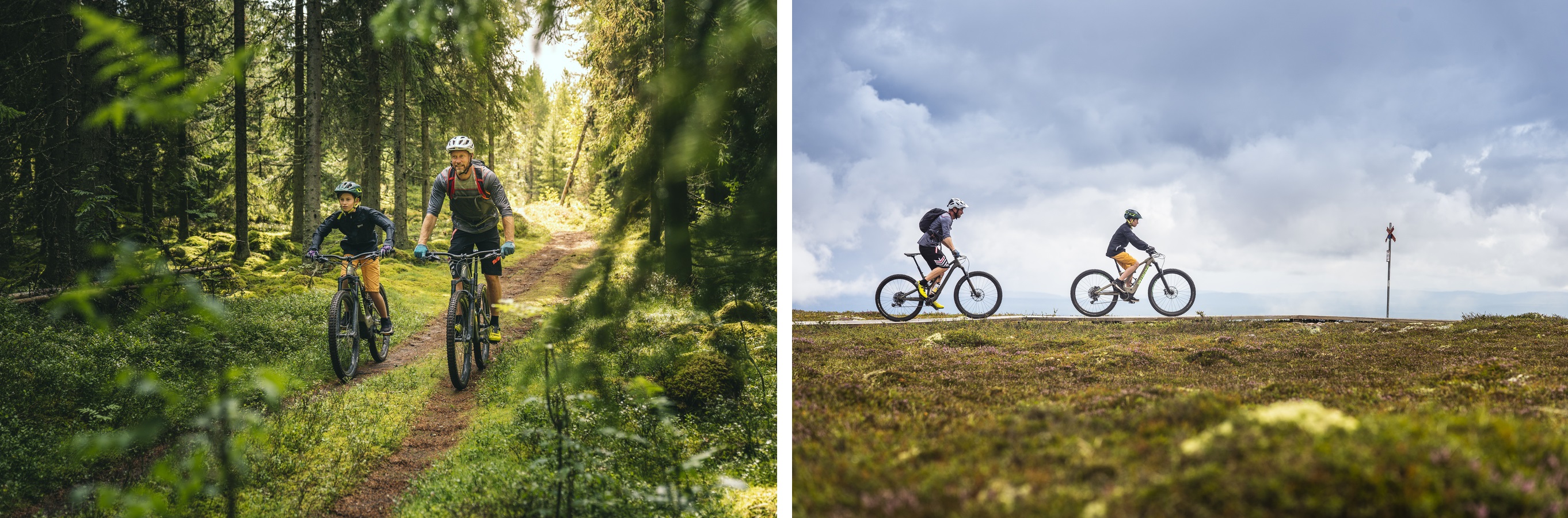 Bildekollasje av mennesker som sykler i naturen.