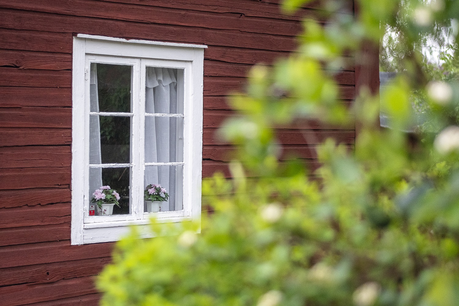 Rødmalt hus med falurød farge.