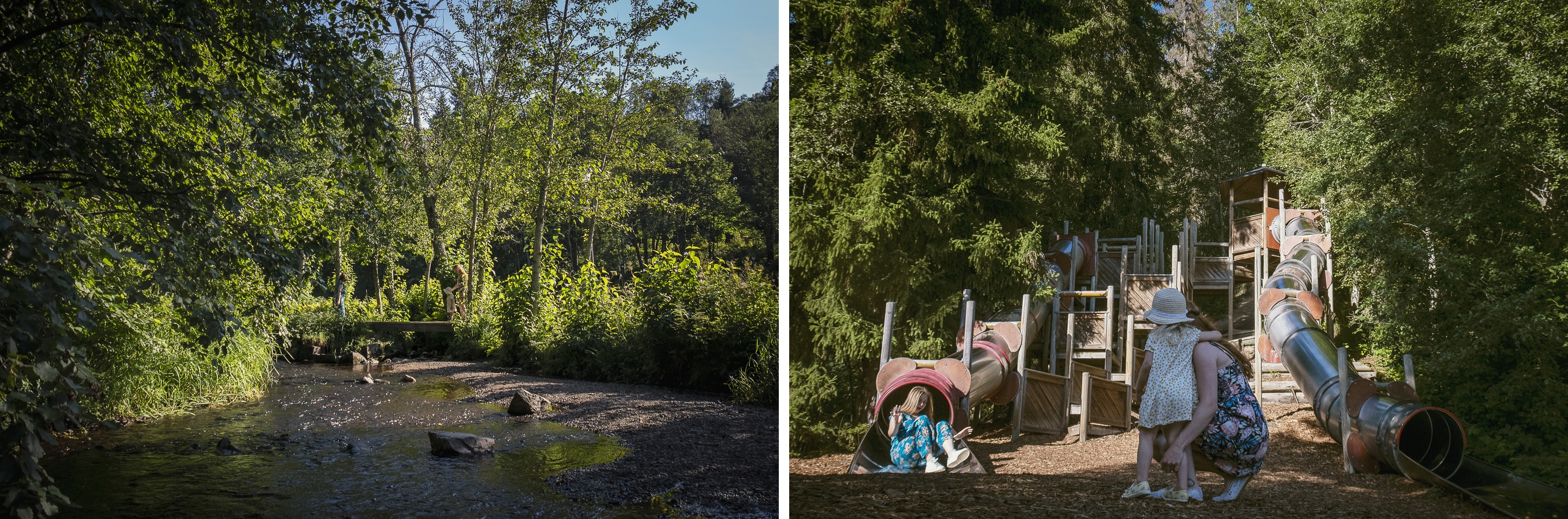 Fotocollage på naturringen rundt Säterdalen.