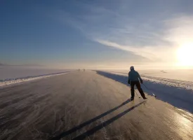 Eine person läuft mit Langstreckenschlittschuhen auf einer gepflügten Strecke, im Hintergrund mehrere Skater und Walker.