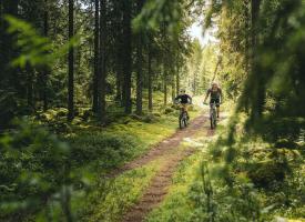Far og sønn sykler i skogene i Säfsen.