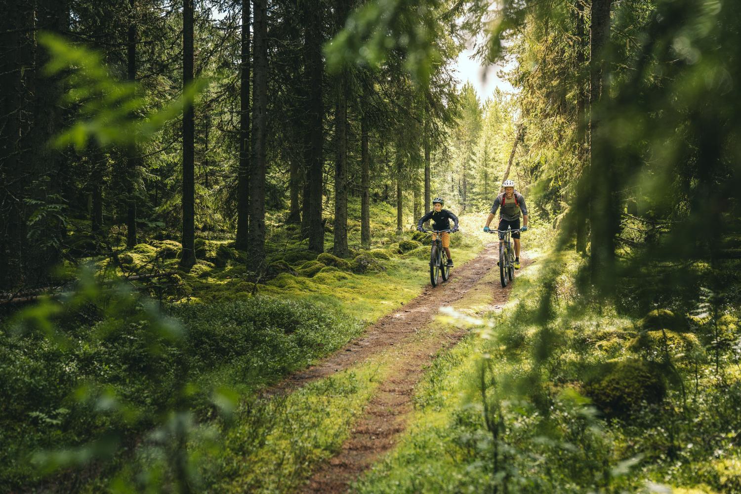 Far og sønn sykler langs en skogsvei.