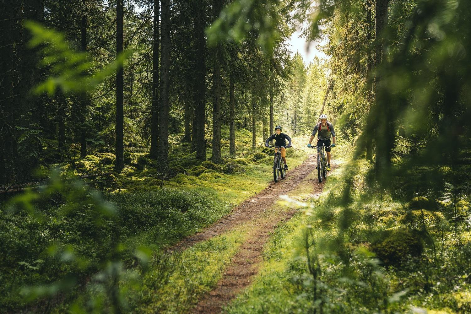 Far og sønn sykler i skogene i Säfsen.