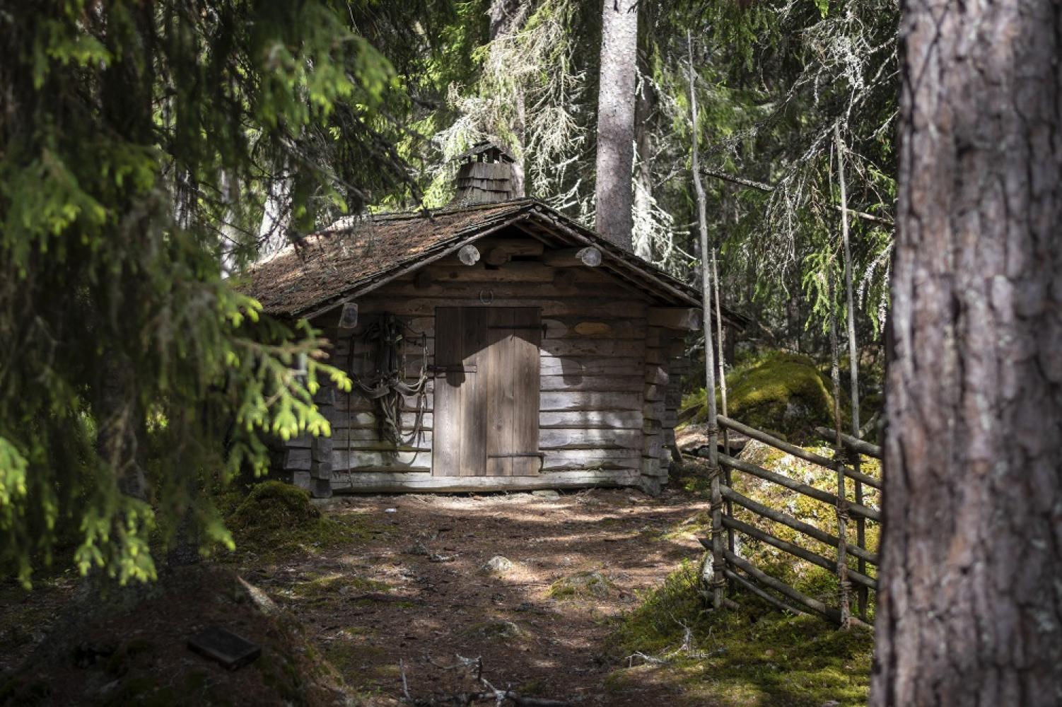 Een klein houten huisje in een bos.