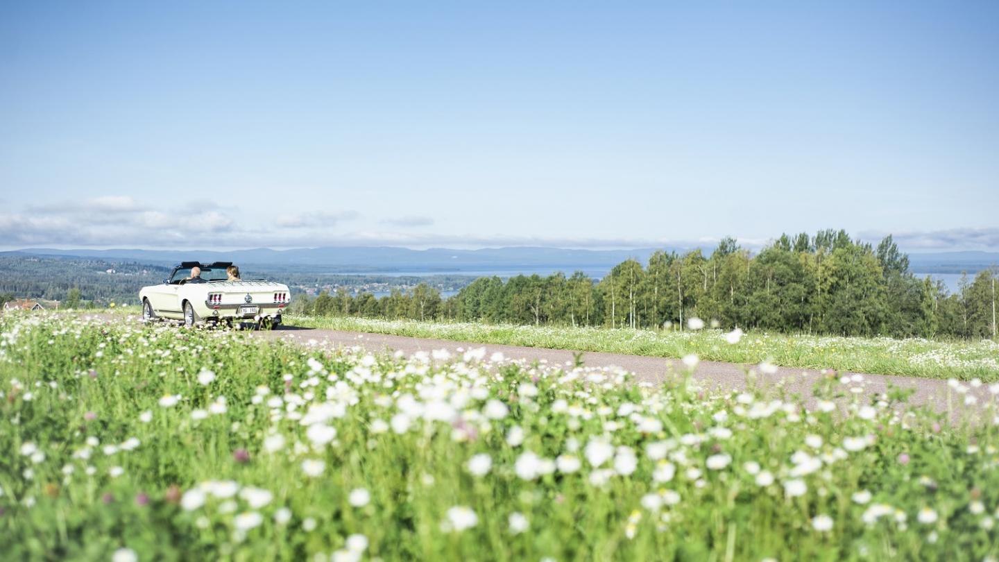 Een oude auto rijdt over een weg met een weids uitzicht over het Siljanmeer.