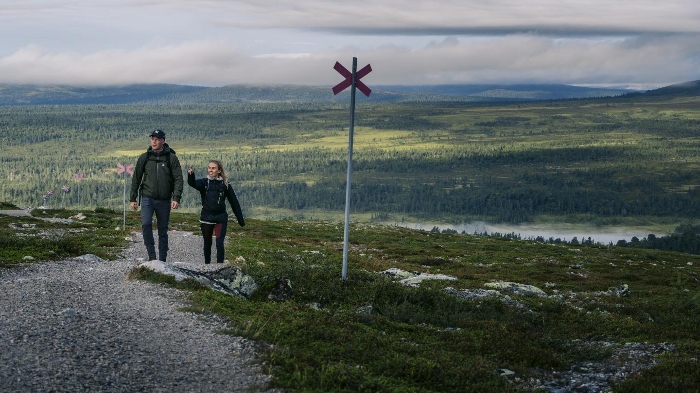 Een jong paar wandelt over een gemarkeerd wandelpad in een berglandschap met bos op de achtergrond.