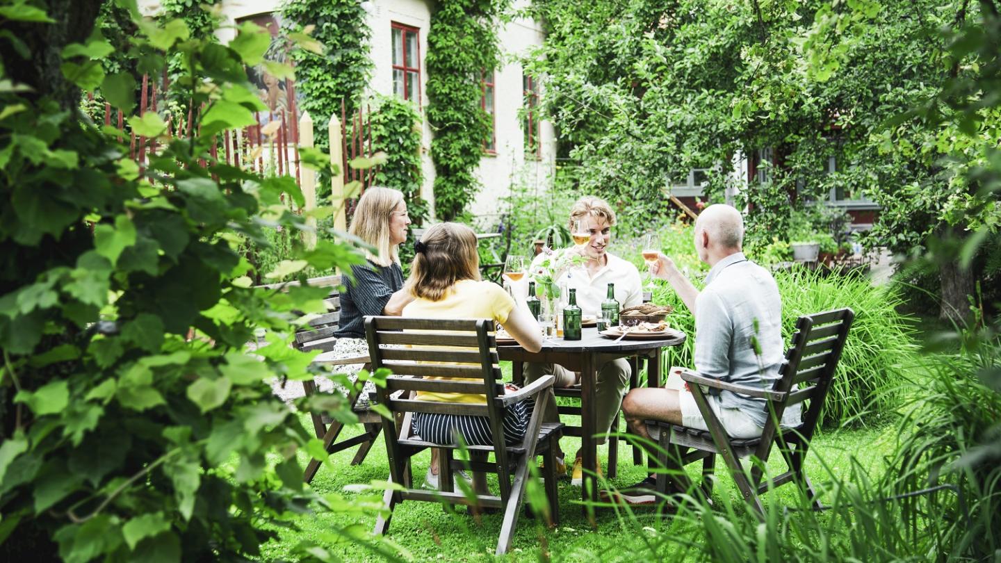 Fire personer som spiser middag i en grønn hage.